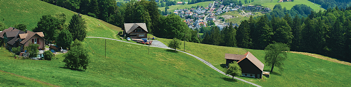 Keyonte George Returns to Jazz: Impact After Injury Battle